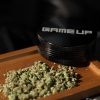 High-CBD Hemp Flower