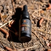 cordyceps mushroom tincture