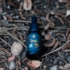 reishi mushroom tincture
